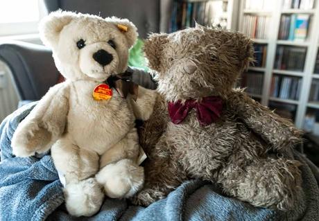 Kuriose Feiertage - 9. September- Teddybär-Tag – der amerikanische Teddy Bear Day (c) 2015 Sven Giese-1