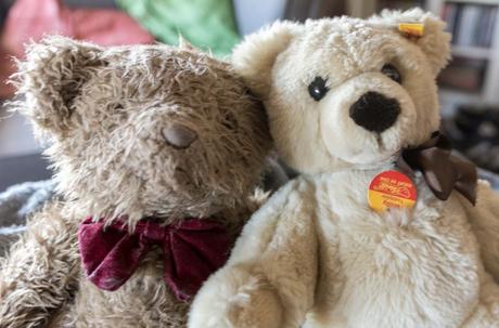 Kuriose Feiertage - 9. September- Teddybär-Tag – der amerikanische Teddy Bear Day (c) 2015 Sven Giese-4