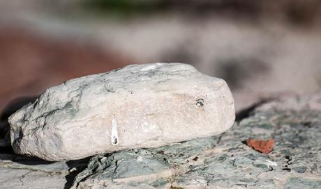 Kuriose Feiertage - 16. September -Sammel-Steine-Tag – der amerikanische National Collect Rocks Day (c) 2016 Sven Giese-4