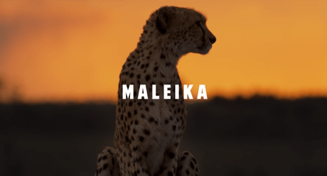 Maleika – Filmvorstellung und Verlosung