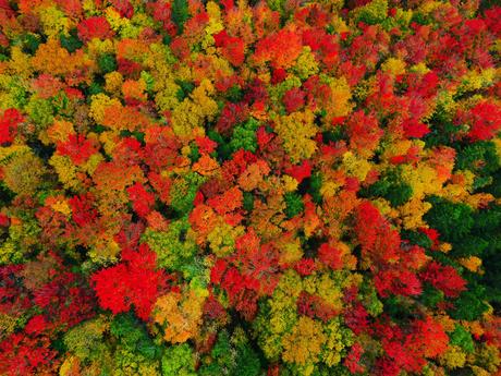 Herbstliches Drohnenvideo: The Colors of Vermont Herbstliches Drohnenvideo: The Colors of Vermont