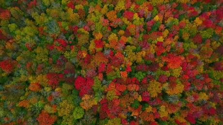 Herbstliches Drohnenvideo: The Colors of Vermont Herbstliches Drohnenvideo: The Colors of Vermont