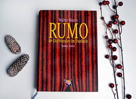 Rumo & die Wunder im Dunkeln von Walter Moers
