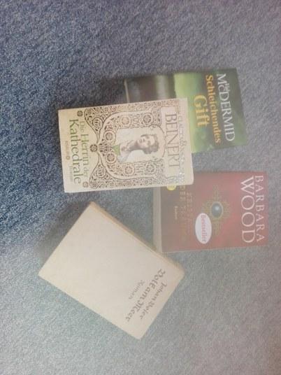 Die Herrin der Kathedrale Die Herrin der Kathedrale