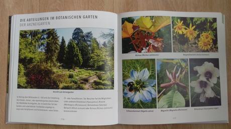 Botanischer Garten Bielefeld, Erleben und entdecken