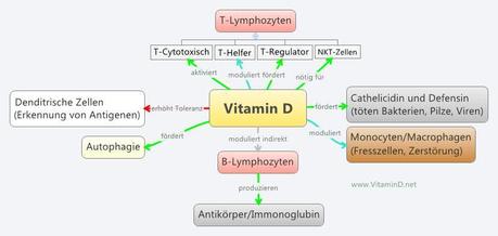 Vitamin D – 4 Fakten über das Vitamin D und warum du es im Winter supplementieren solltest