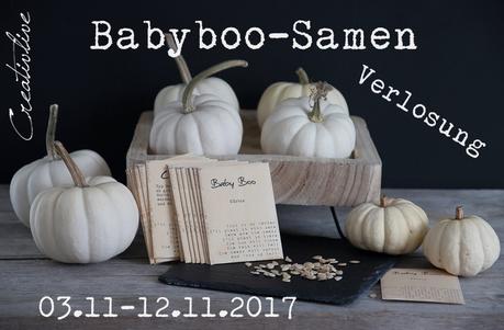 Samen für BabyBoo Kürbis -Verlosung-