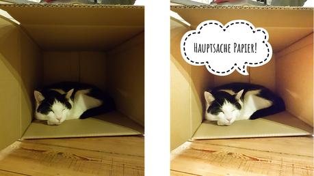 TutKit.com – die Kreativ-Flatrate – nicht nur für Profis TutKit.com – die Kreativ-Flatrate – nicht nur für Profis