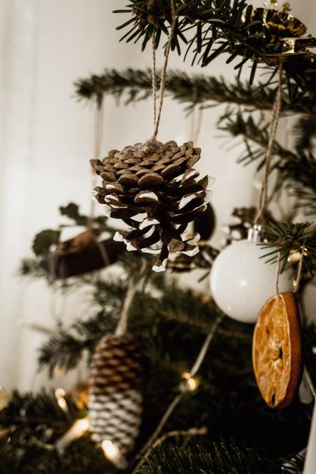 Mein nachhaltiger Weihnachtsbaum – Blogmas 11