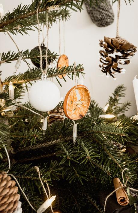 Mein nachhaltiger Weihnachtsbaum – Blogmas 11