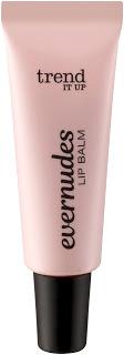 trend IT UP Limited Edition Evernudes trend IT UP Limited Edition Evernudes