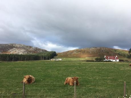 Vier Wochen in Schottland – Reisetipps für Individualisten Vier Wochen in Schottland – Reisetipps für Individualisten