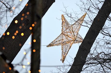 Waldweihnachtsmarkt Velen – lohnt sich der Eintritt? Waldweihnachtsmarkt Velen – lohnt sich der Eintritt?