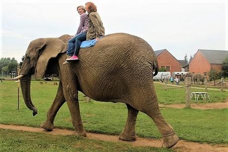 100 Dinge die man im Leben getan haben muss // Meine ultimative (Reise-) Bucketlist 100 Dinge die man im Leben getan haben muss // Meine ultimative (Reise-) Bucketlist
