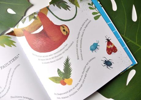 Faultier gefunden – illustriertes Kinderbuch für Faultierfreunde ab 3 Jahren