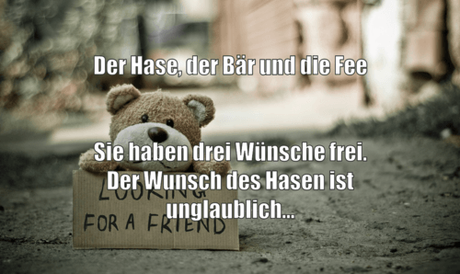 Story: Der Hase, der Bär und die Fee Story: Der Hase, der Bär und die Fee