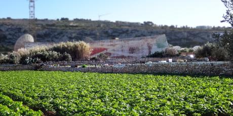 Malta: das Beton-Ohr
