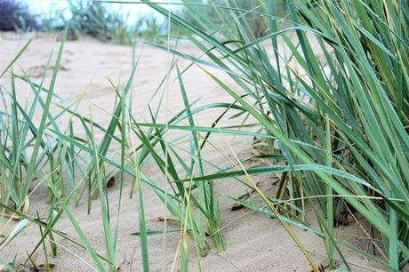Cuxhaven mit Kindern // Mee(h)r Norden geht nicht!! Cuxhaven mit Kindern // Mee(h)r Norden geht nicht!!