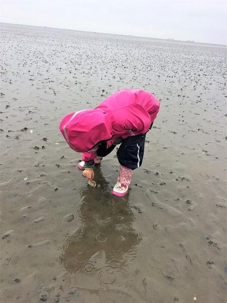 Cuxhaven mit Kindern // Mee(h)r Norden geht nicht!! Cuxhaven mit Kindern // Mee(h)r Norden geht nicht!!