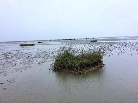 Cuxhaven mit Kindern // Mee(h)r Norden geht nicht!! Cuxhaven mit Kindern // Mee(h)r Norden geht nicht!!