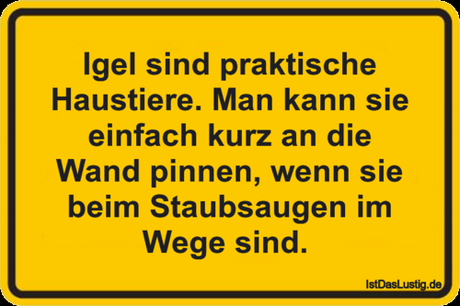Lustiger BilderSpruch - Igel sind praktische Haustiere. Man kann sie ei... Lustiger BilderSpruch - Igel sind praktische Haustiere. Man kann sie...