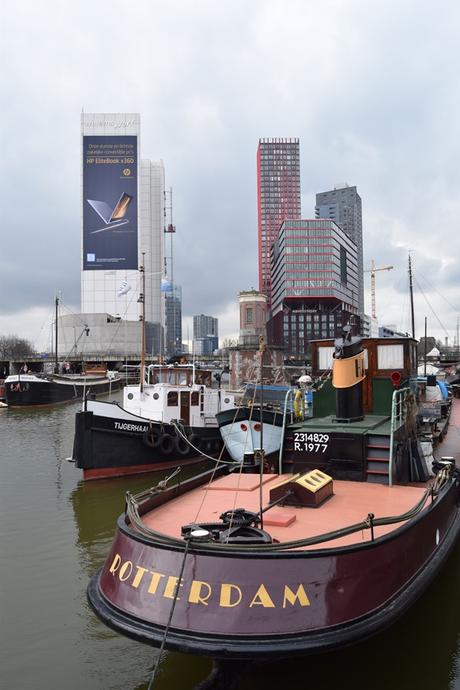 22_a-rosa-Flusskreuzfahrt-Rhein-Alter-Hafen-Architektur-Rotterdam-Holland-Niederlande