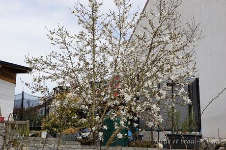 Frühling vor der Haustür Frühling vor der Haustür