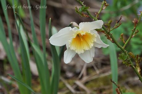 Frühling vor der Haustür Frühling vor der Haustür