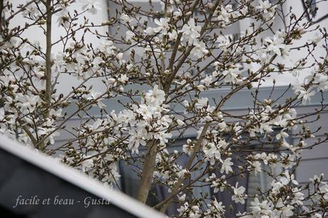 Frühling vor der Haustür Frühling vor der Haustür