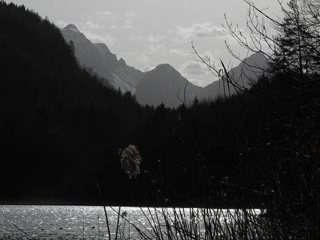 Der Schwangauer Seen-Serie zweiter Teil: Der Alpsee