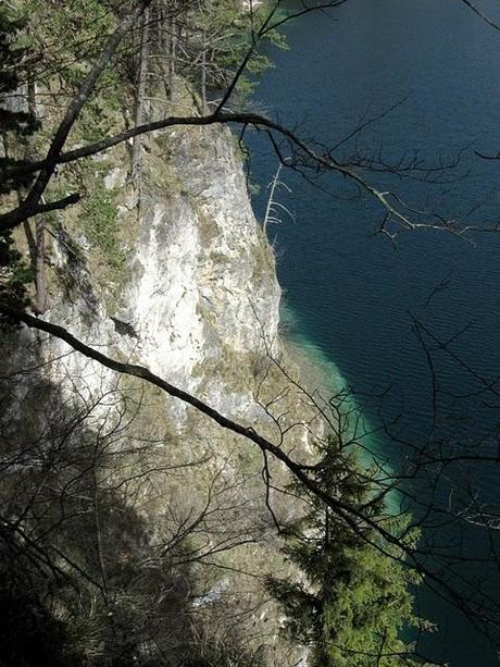 Der Schwangauer Seen-Serie zweiter Teil: Der Alpsee