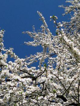 Ostern, Foto Heinz Scheel Ostern