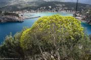Blick auf Port Soller Blick auf Port Soller