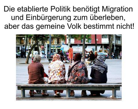 Migration sichert den Altparteien das Überleben und Einbürgerung ist die Komponente zum Erhalt der Macht, abseits der Volksinteressen