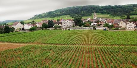 Burgund-Reise: schmackhafte Kühe und steinige Dörfer