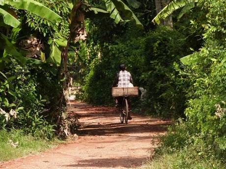 7 Gründe, warum Battambang ein empfehlenswertes Reiseziel ist Battambang - Kamboscha-3