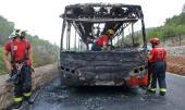 Buslinie 15 steht in Flammen Buslinie 15 steht in Flammen