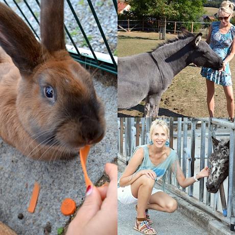 Urlaub auf dem Bauernhof – Kinderhotel im Sauerland Urlaub auf dem Bauernhof – Kinderhotel im Sauerland