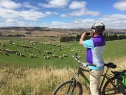 Auf Wander- und Radreisen durch Neuseeland