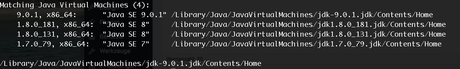 Wie kann man die Java Version auf einem Mac anzeigen und ändern?