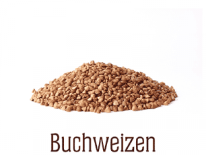 Es muss nicht immer nur Mais und Reis sein – Das Re-Cereal Projekt von Schär Buchweizen