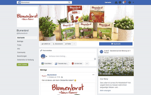 Blumenbrot – die französische glutenfreie Alternative zum Knäckebrot – Gewinnspiel Blumenbrot Facebook Fanpage