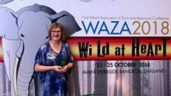 Internationale Anerkennung für Wellington Zoo