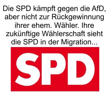 Die SPD kämpft gegen die AfD, aber nicht um die Rückgewinnung ihrer ehemaligen Wählerschaft