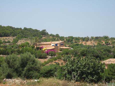 Finca Can Negre Finca Can Negre