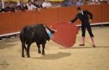 “Königskinder” beim Stierkampf in Palma de Mallorca