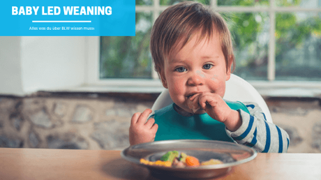 Baby Led Weaning – Alles Wichtige zu BLW!