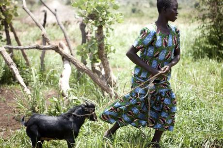 Permakultur ermächtigt geflüchtete Frauen in Afrika