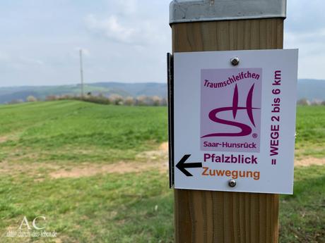 Frühlings-Wandertipp: Traumschleifchen Pfalzblick
