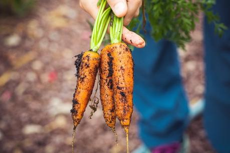 Ernährung nachhaltig gestalten – So geht’s! Nachhaltig ernähren im Alltag - Tipps